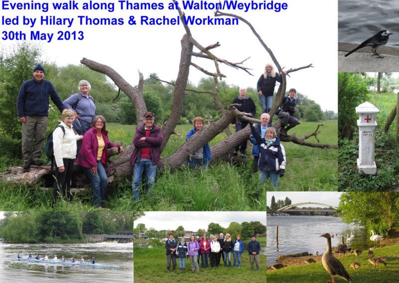 Walton & Weybridge Evening Walk - 30th May 2013